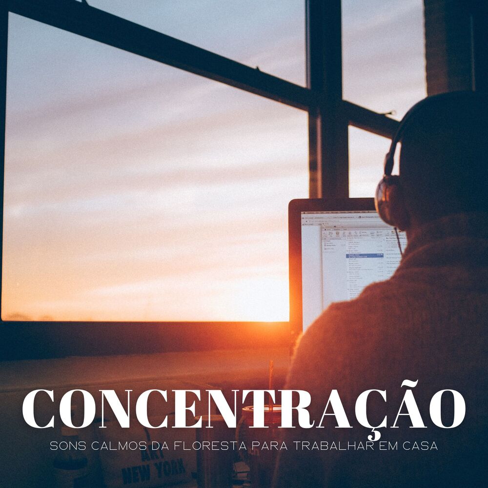 Picture of Concentração: Sons Calmos Da Floresta Para Trabalhar Em Casa