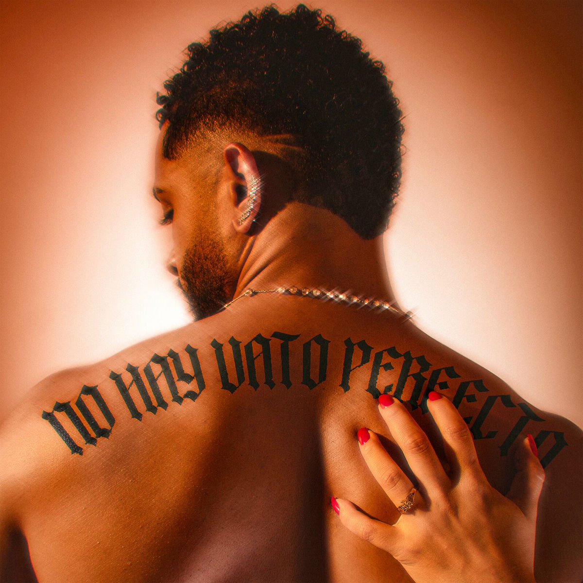 Album cover of No Hay Vato Perfecto