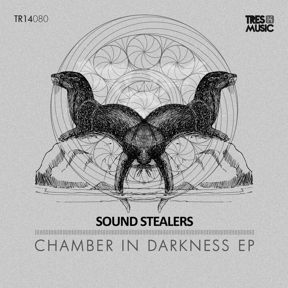 Picture of Chamber in Darkness