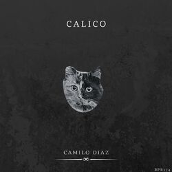 Cover of Calico