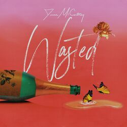 Cover of Wasted