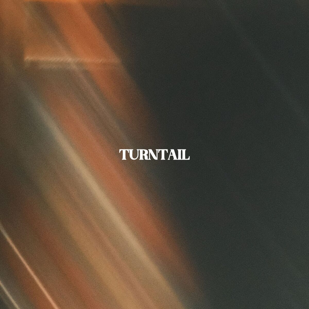 Album cover of Turntail