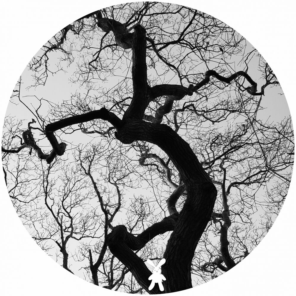 Picture of Afterlife