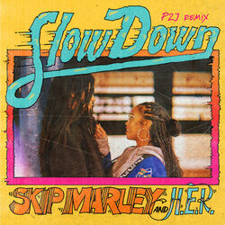 Cover of Slow Down (P2J Remix)