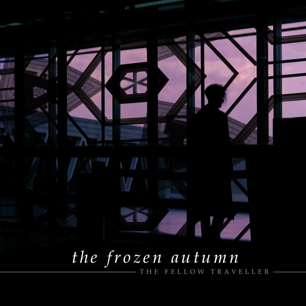 Album cover of The Fellow Traveller