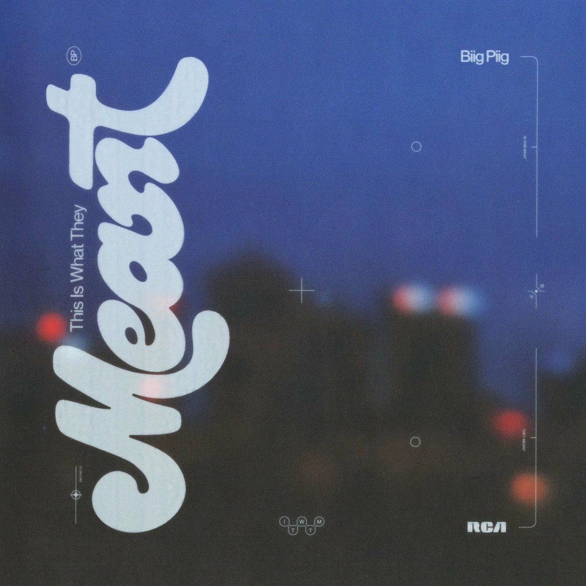 Album cover of This Is What They Meant