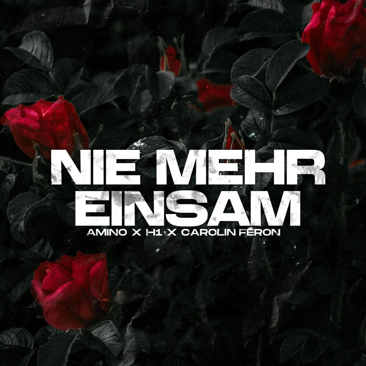 Album cover of Nie mehr einsam
