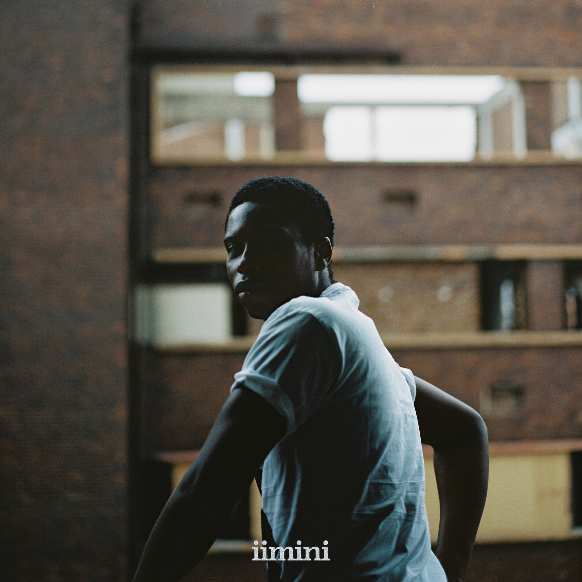 Album cover of iimini