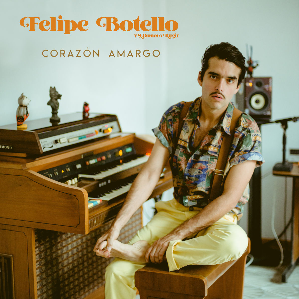 Album cover of Corazón Amargo
