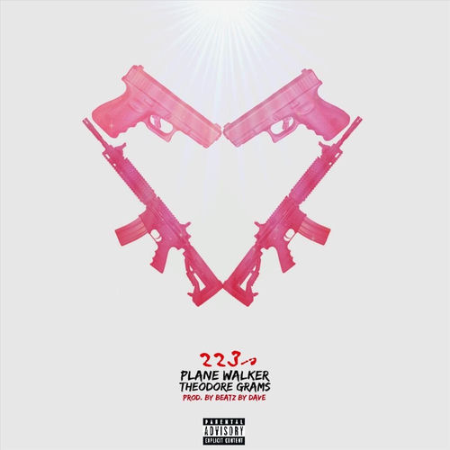 223s artwork