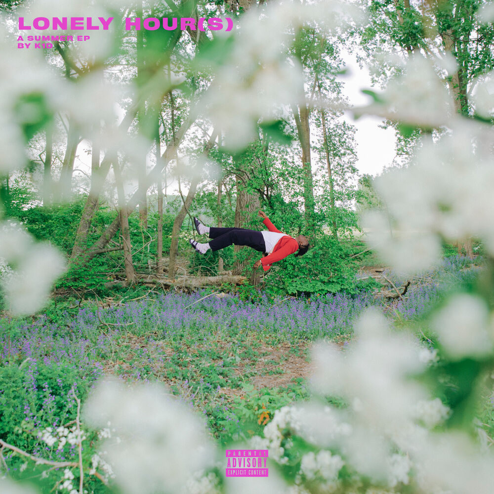 Picture of LONELY HOUR(S)