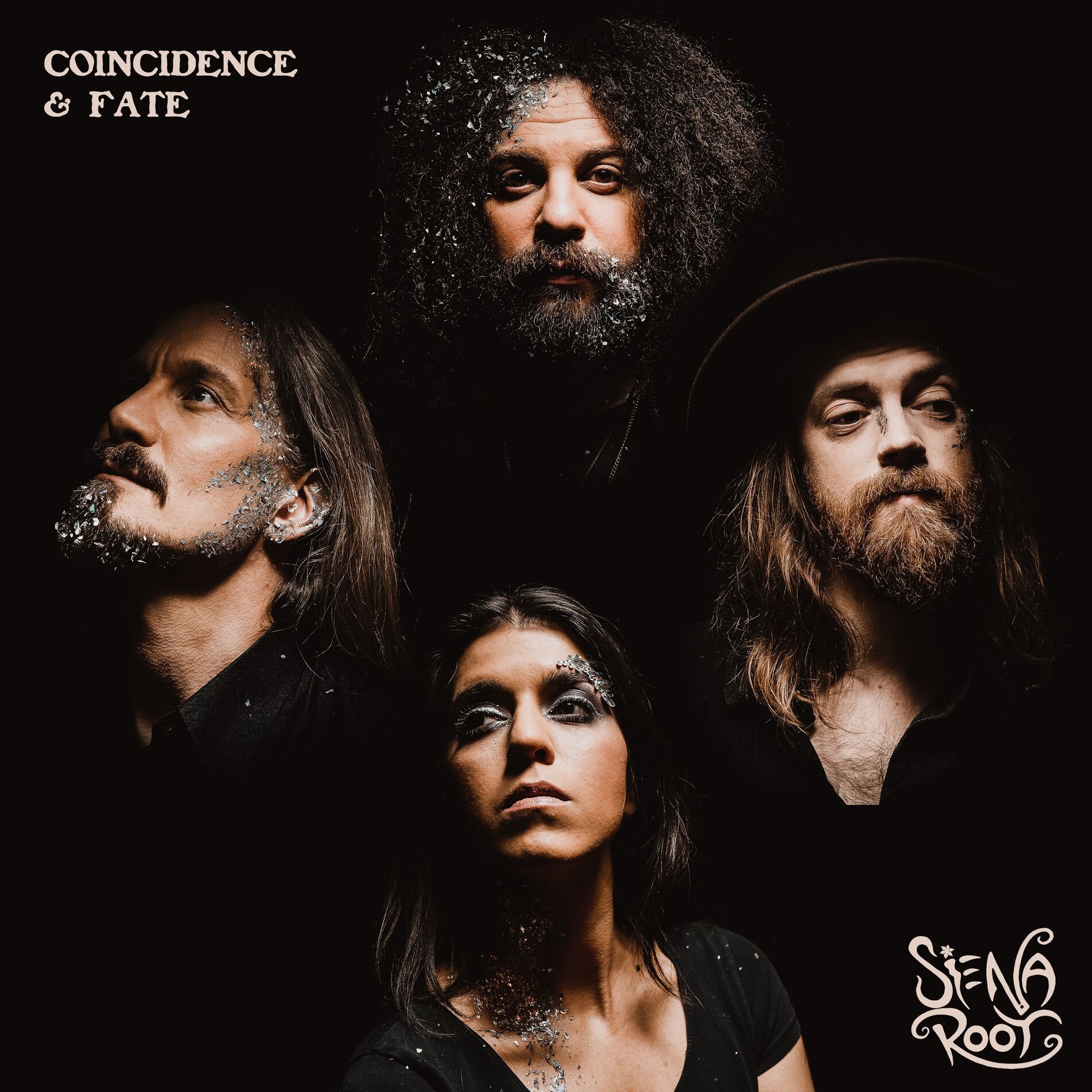 Album cover of Coincidence & Fate