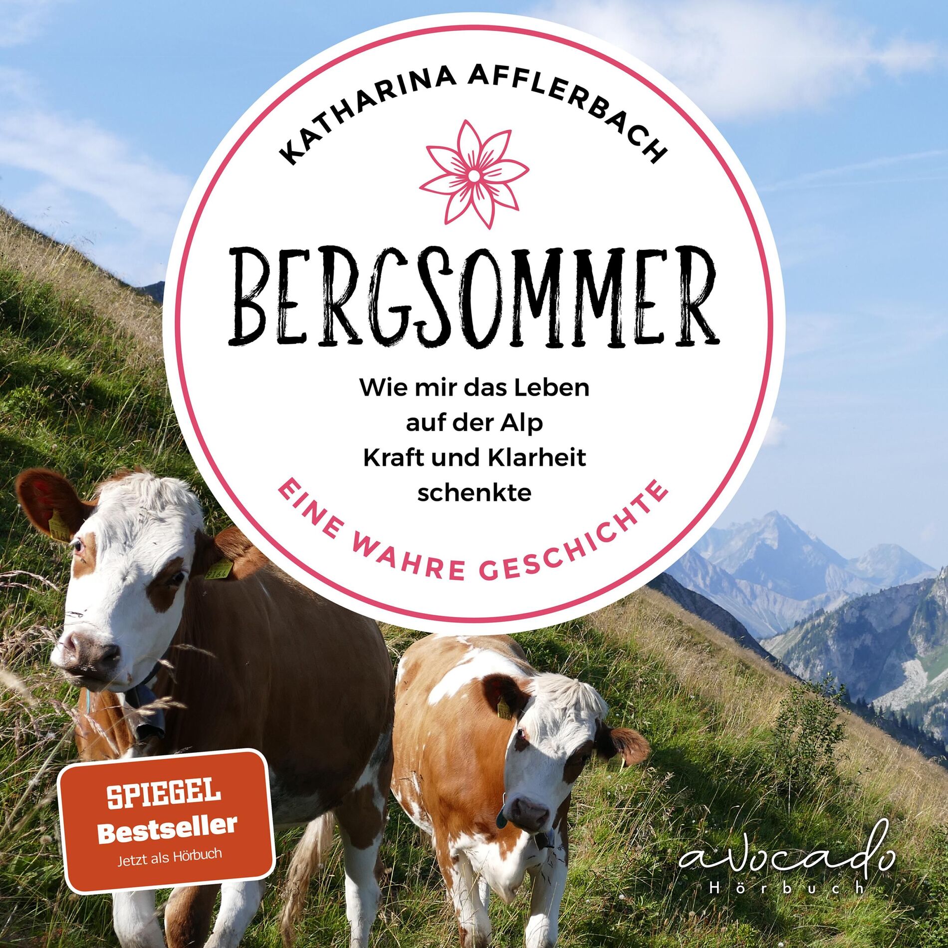 Album cover of Intro & Kapitel Aufwachen.1 - Bergsommer