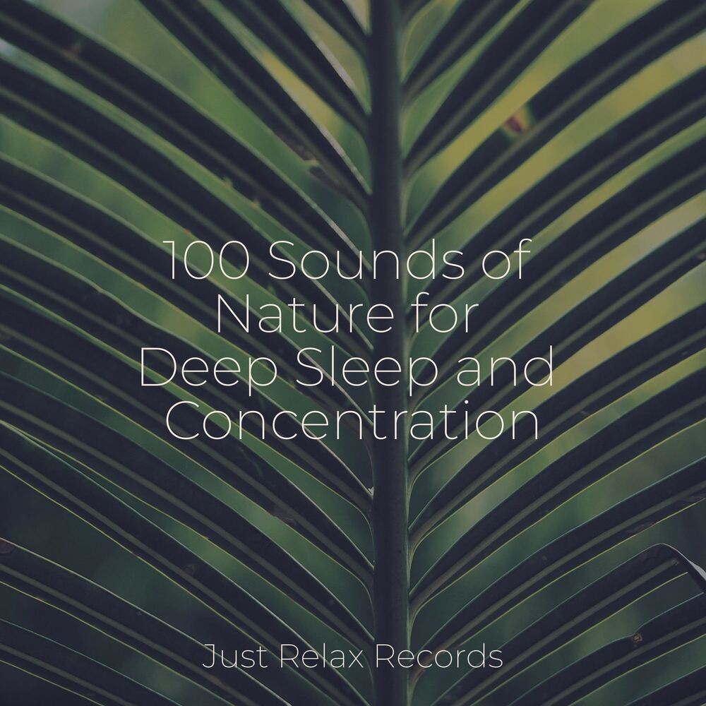 Picture of 100 Sounds of Nature for Deep Sleep and Concentration