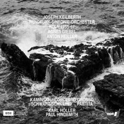 Cover of Kaminski, Schwarz-Schilling, & Höller: Orchestra Works