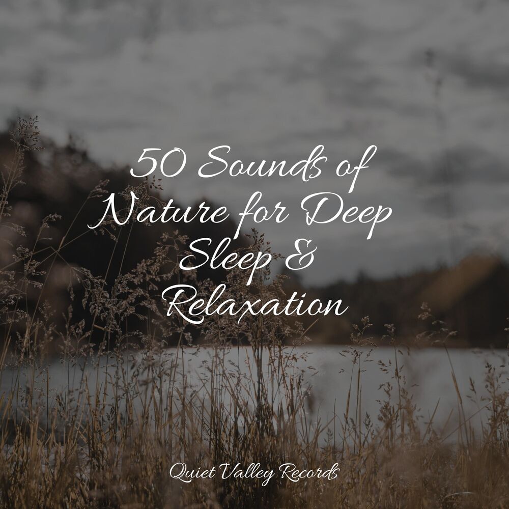Picture of 50 Sounds of Nature for Deep Sleep & Relaxation