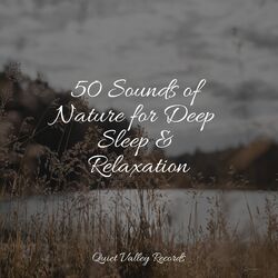 Cover of 50 Sounds of Nature for Deep Sleep & Relaxation