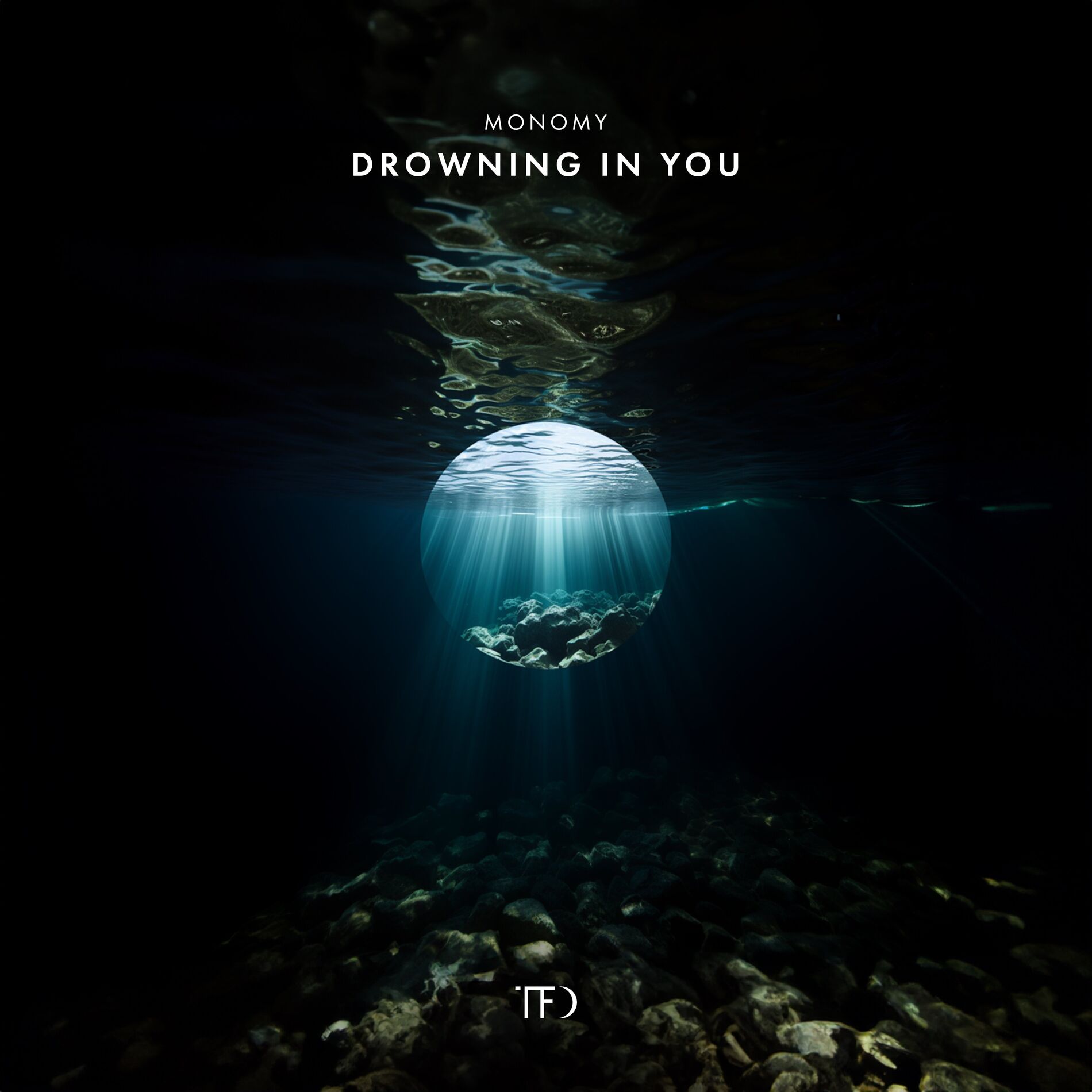 Album cover of Drowning in You