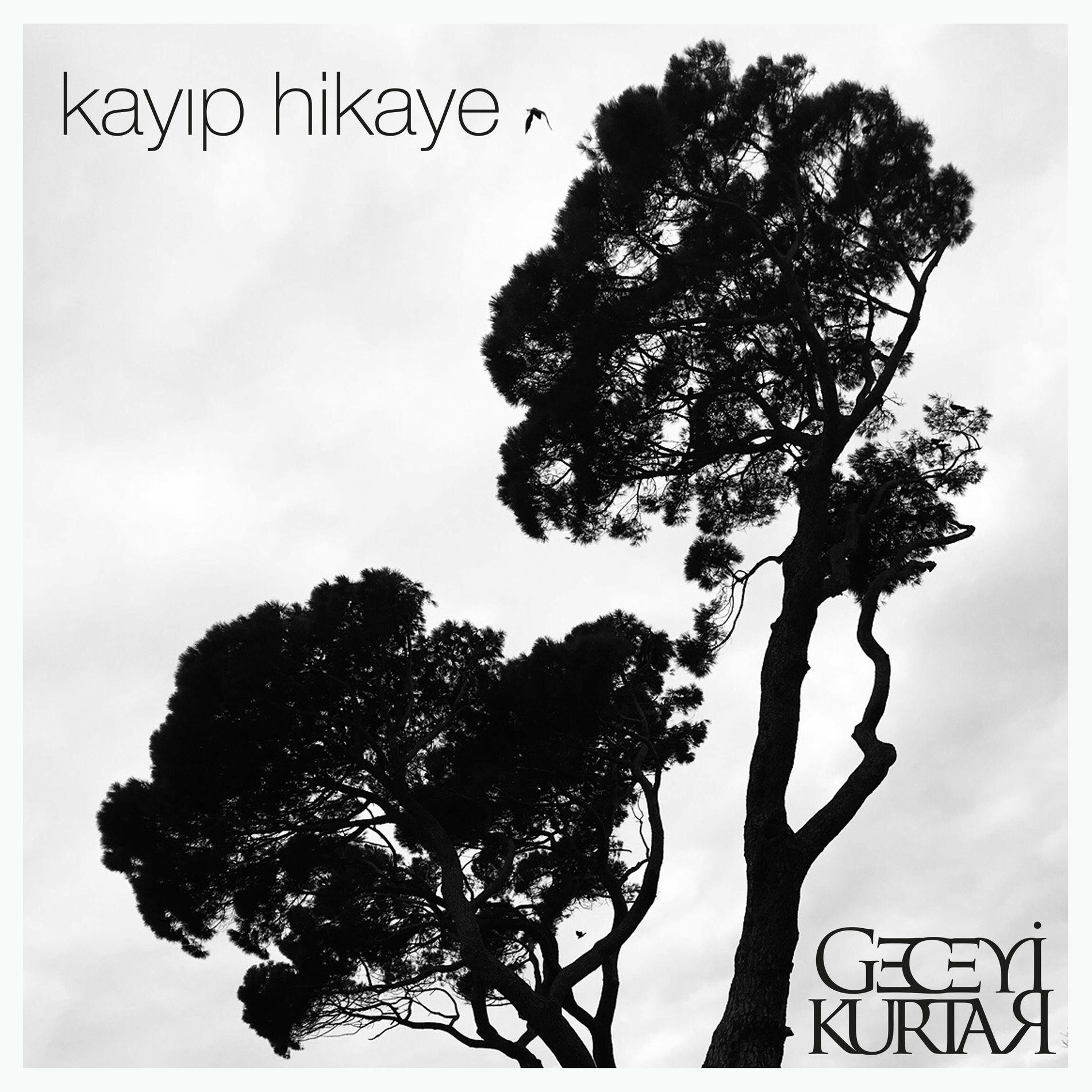 Album cover of Kayıp Hikaye