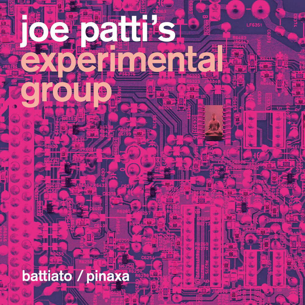 Picture of Joe Patti's Experimental Group