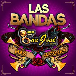 Cover of Las Bandas Más Matonas