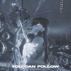 Cover of You Can Follow