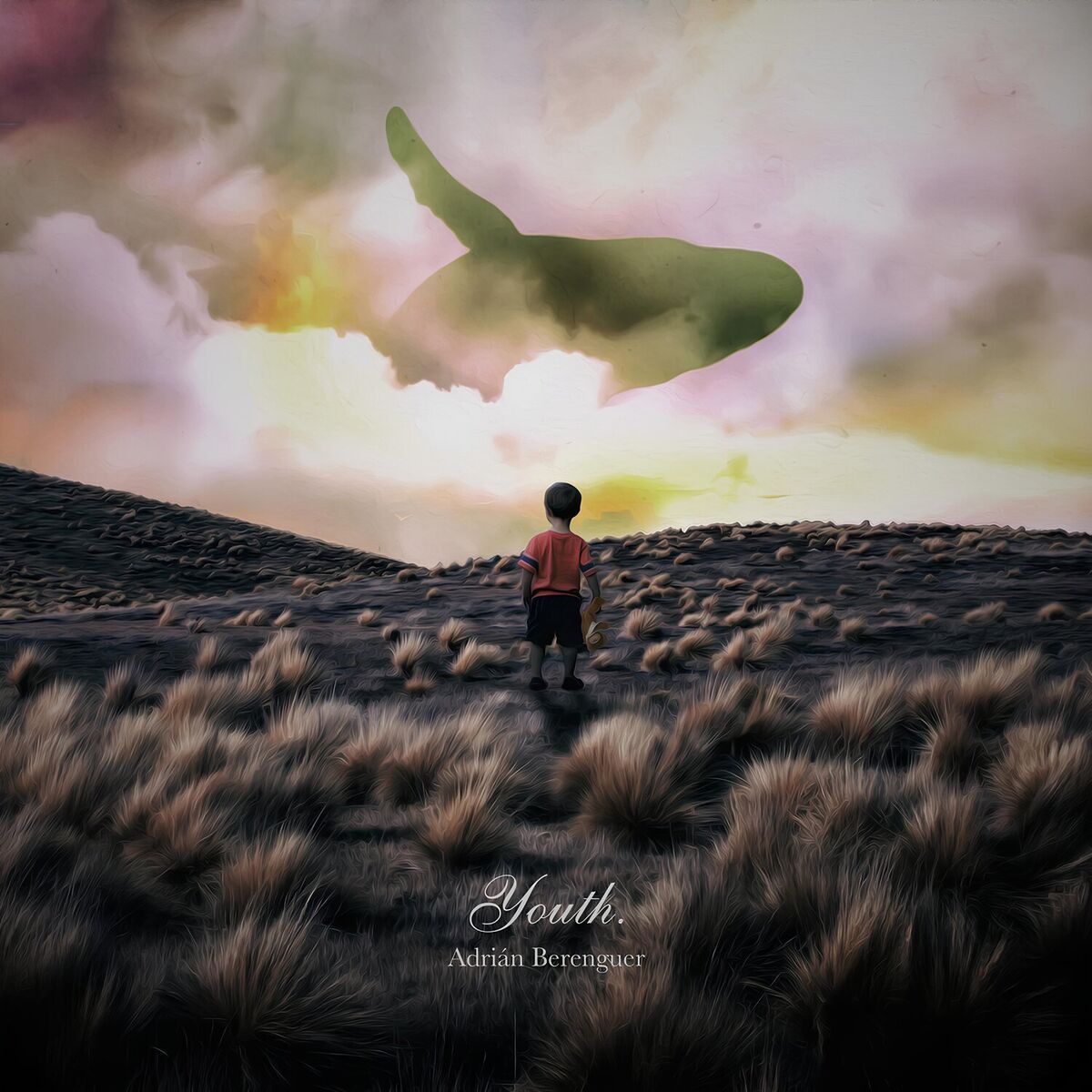 Album cover of Youth