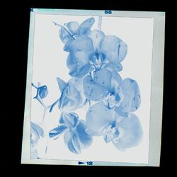 Cover of drift (ambient remixes)