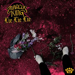 Cover of Lie Lie Lie
