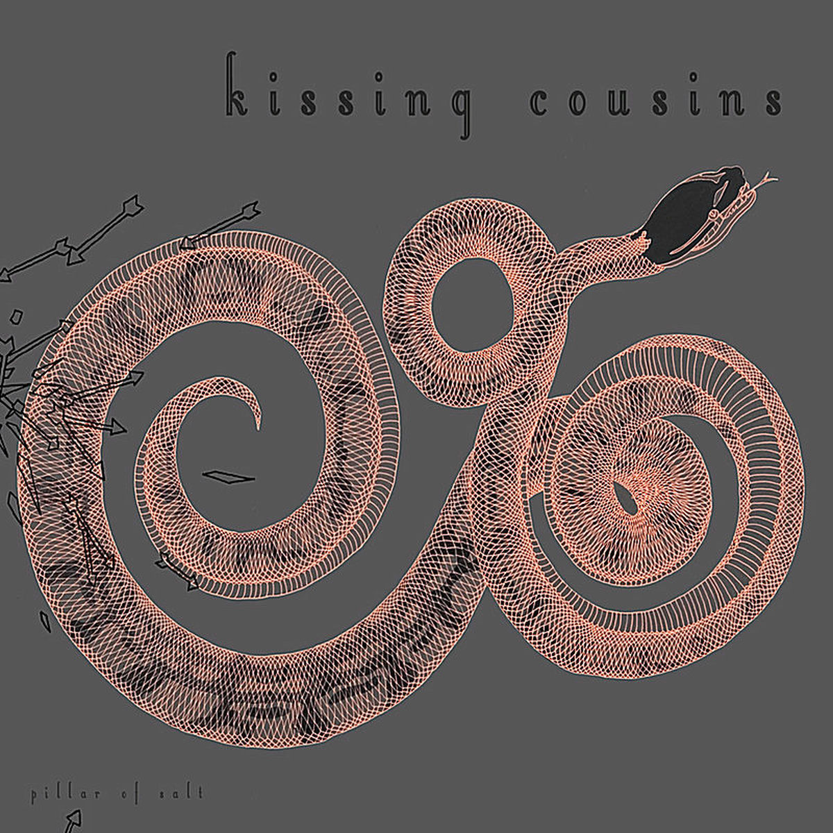 Album cover of Pillar of Salt