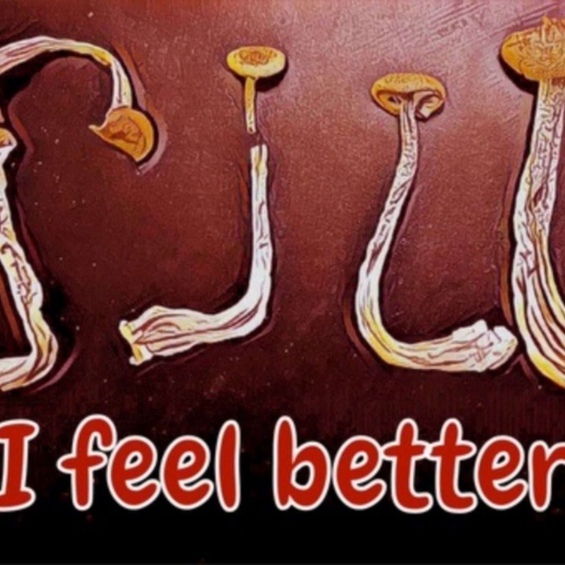 Album cover of I feel better (feat. Silly)
