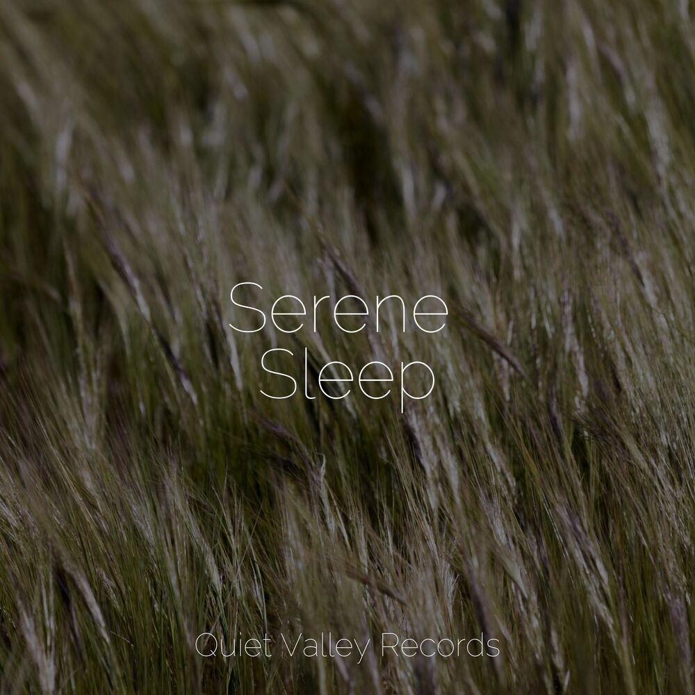 Picture of Serene Sleep