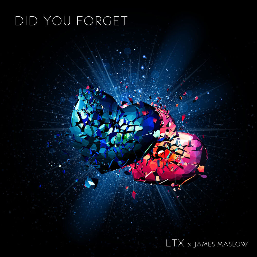Picture of Did You Forget