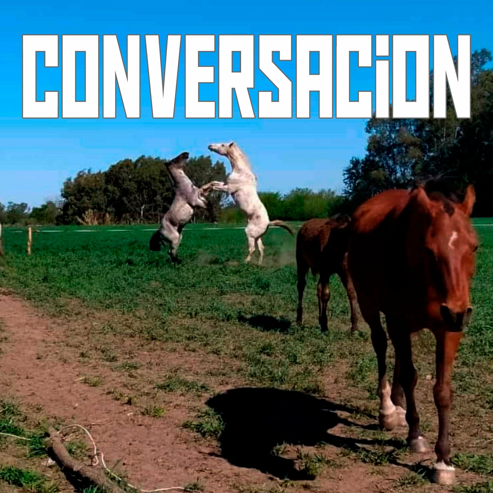 Album cover of Conversación