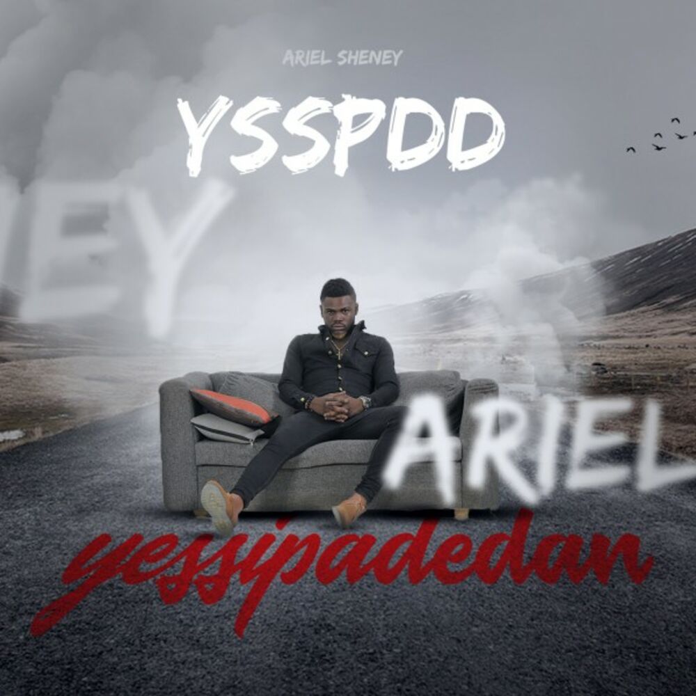 Picture of YSSPDD