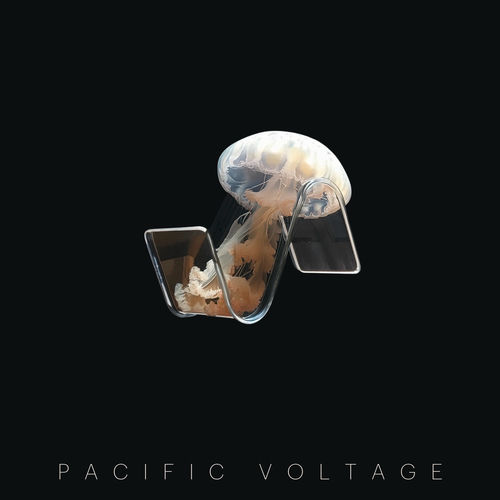  Pacific Voltage - Panpsychism (2025) 