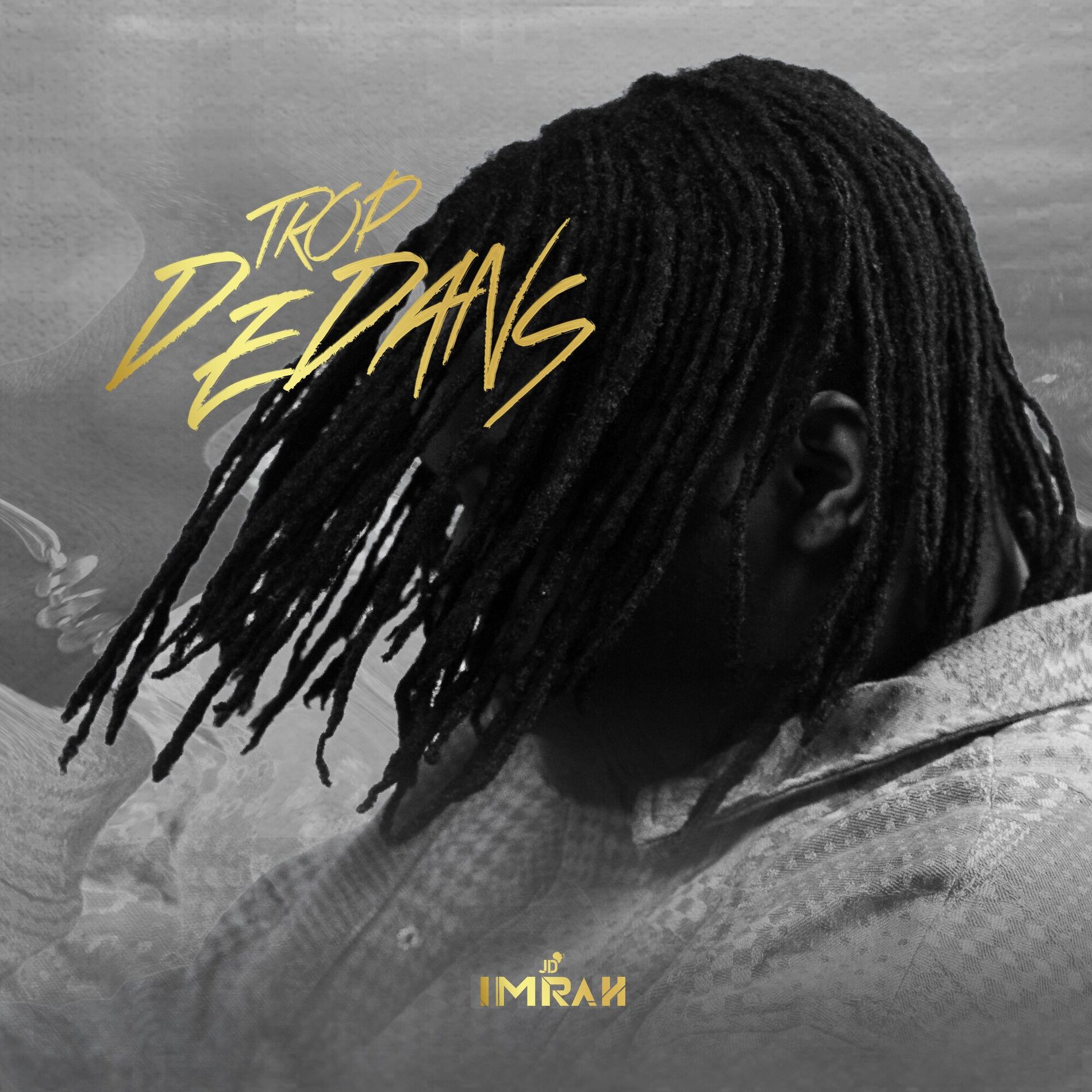 Album cover of Trop Dedans