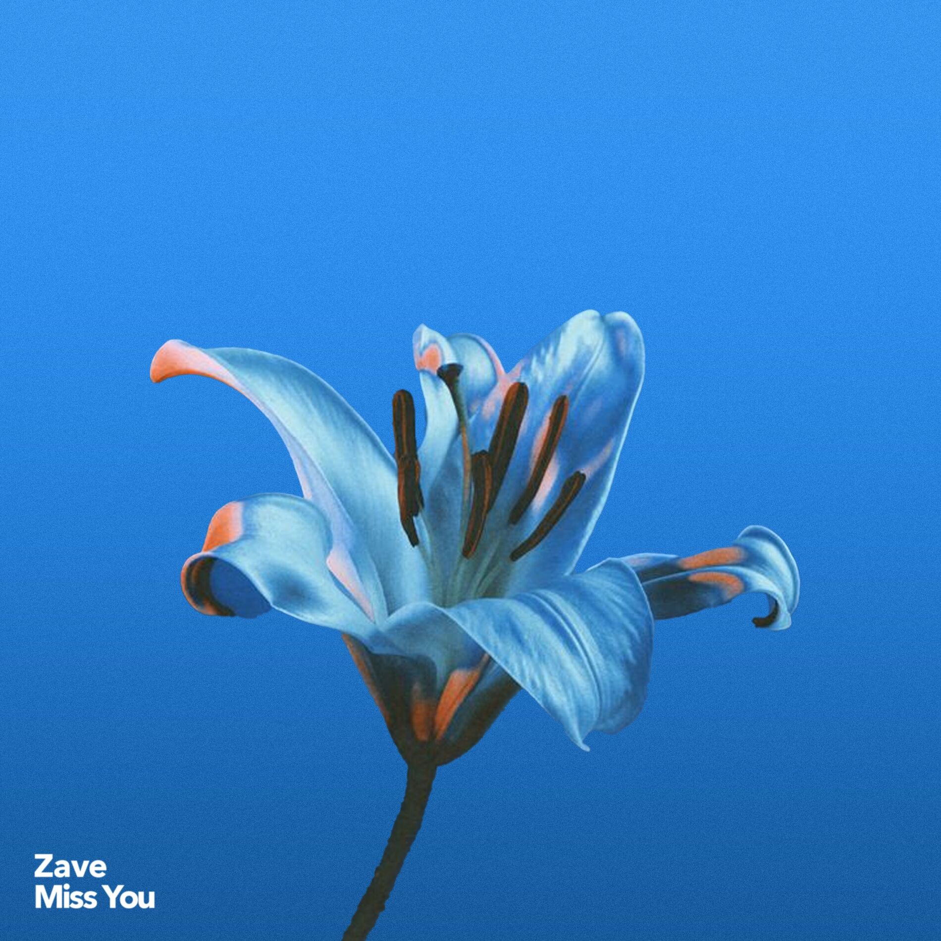 Album cover of Miss You