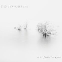 Cover of Une larme de pluie