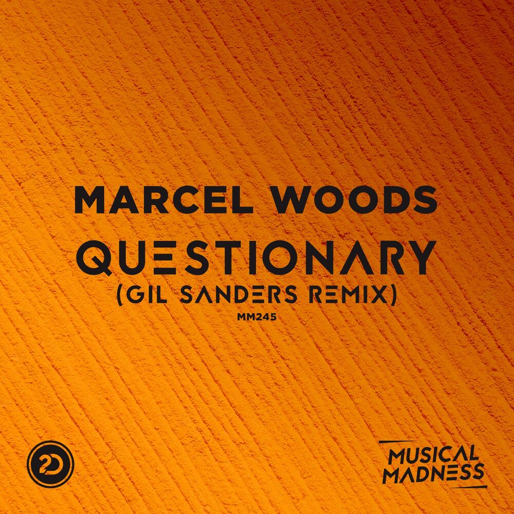Picture of Questionary (Gil Sanders Remix)