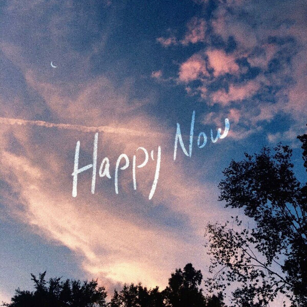 Album cover of Happy Now