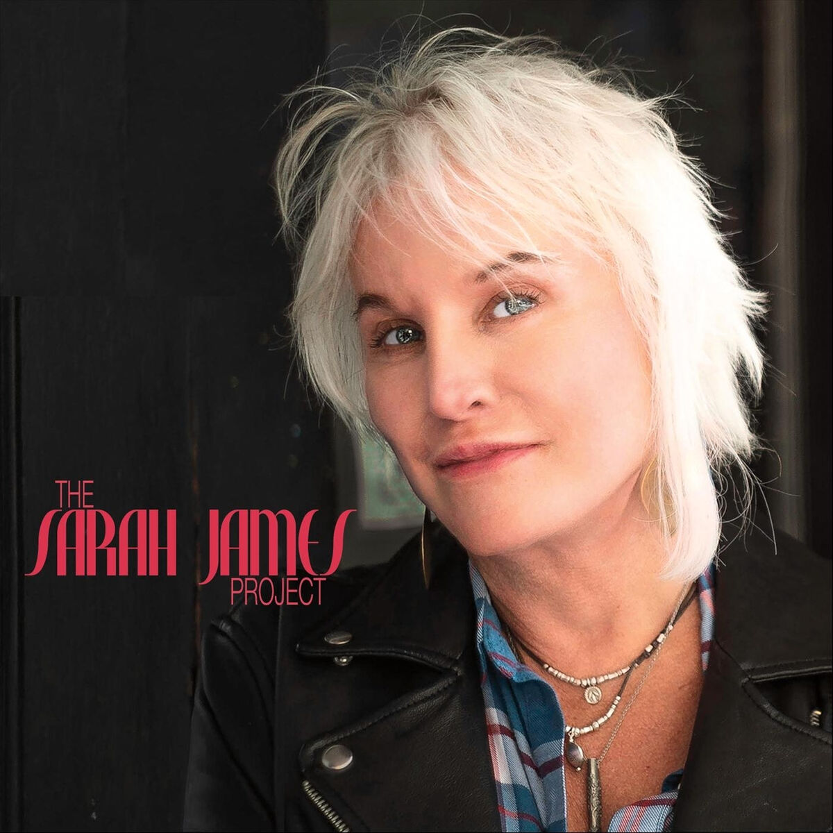 Album cover of The Sarah James Project