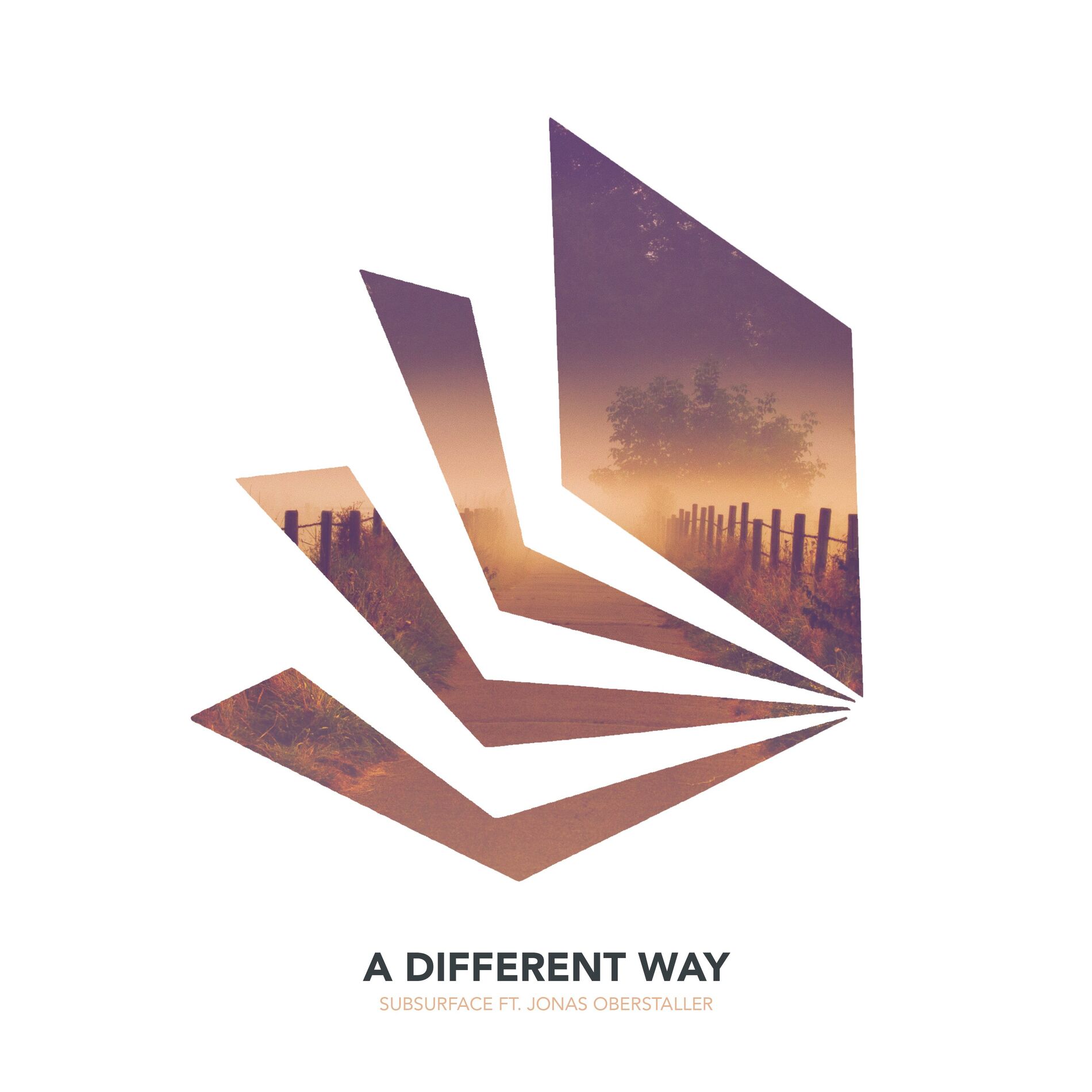 Album cover of A Different Way
