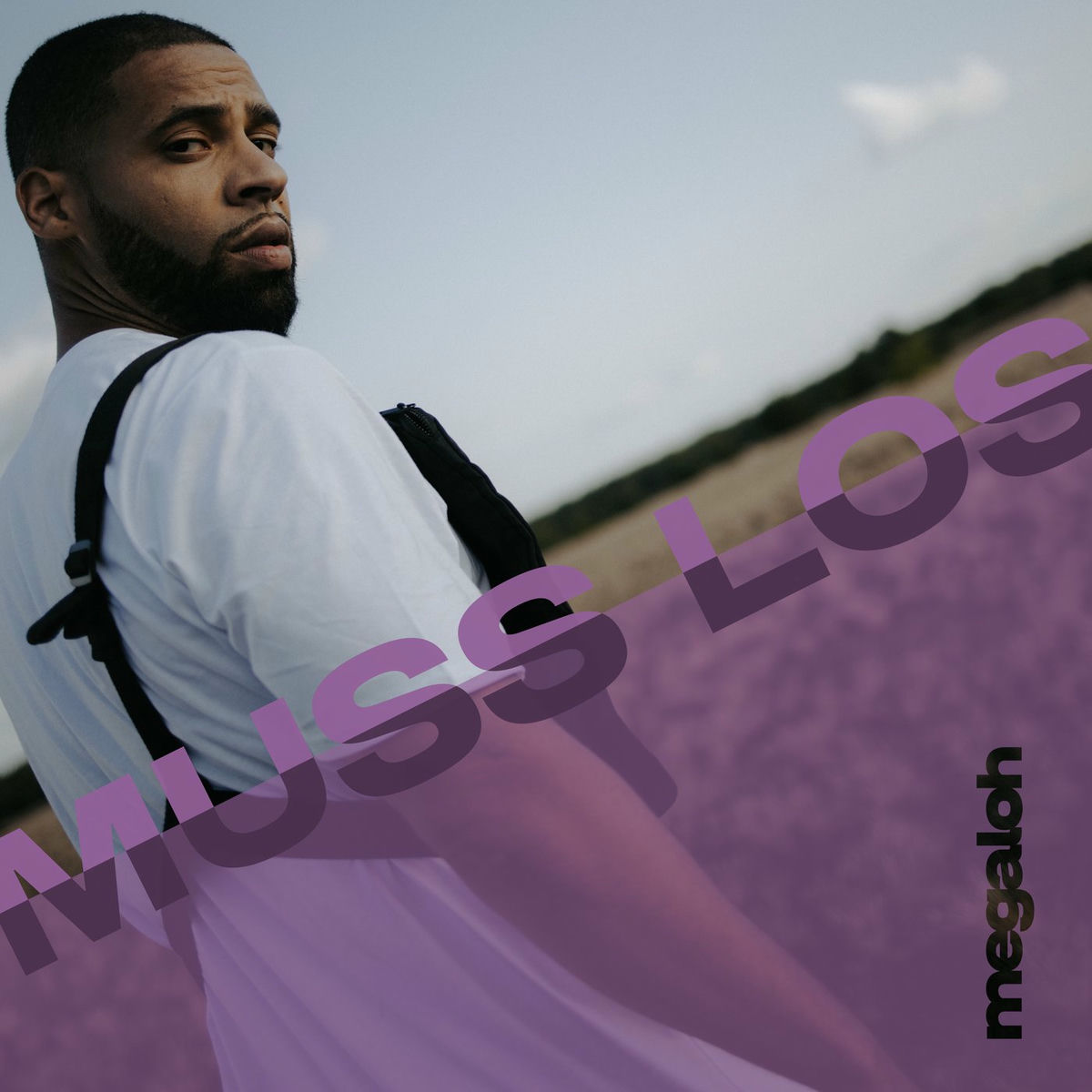 Album cover of Muss los