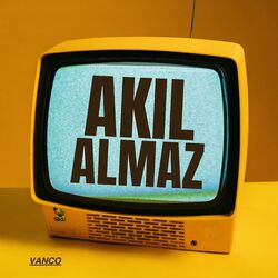 Cover of AKILALMAZ