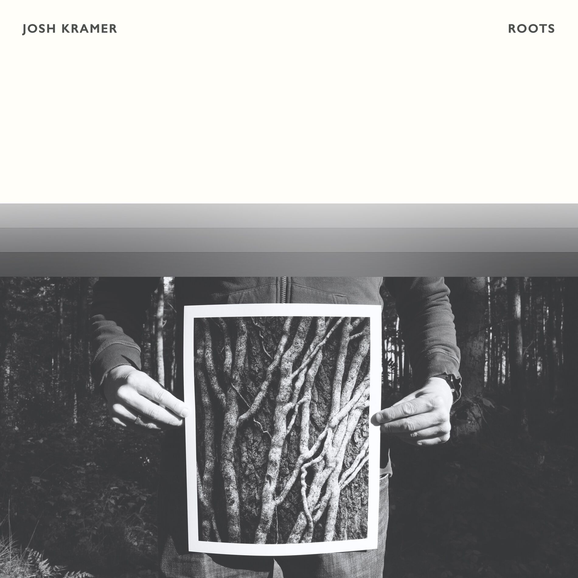 Album cover of Roots