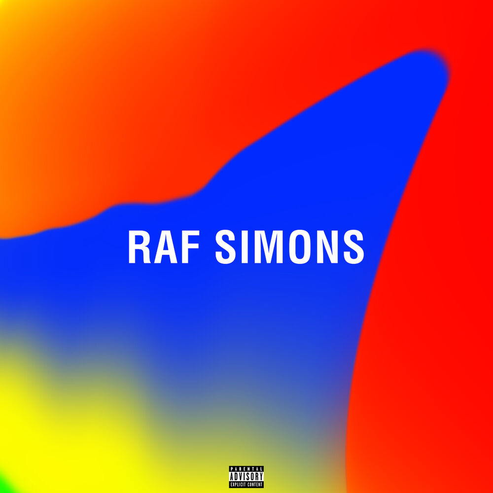Picture of raf simons