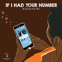 Cover of If I Had Your Number