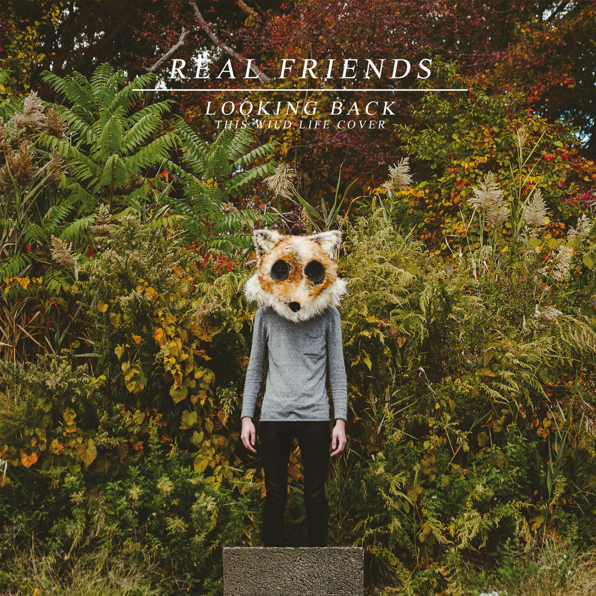 Album cover of Looking Back