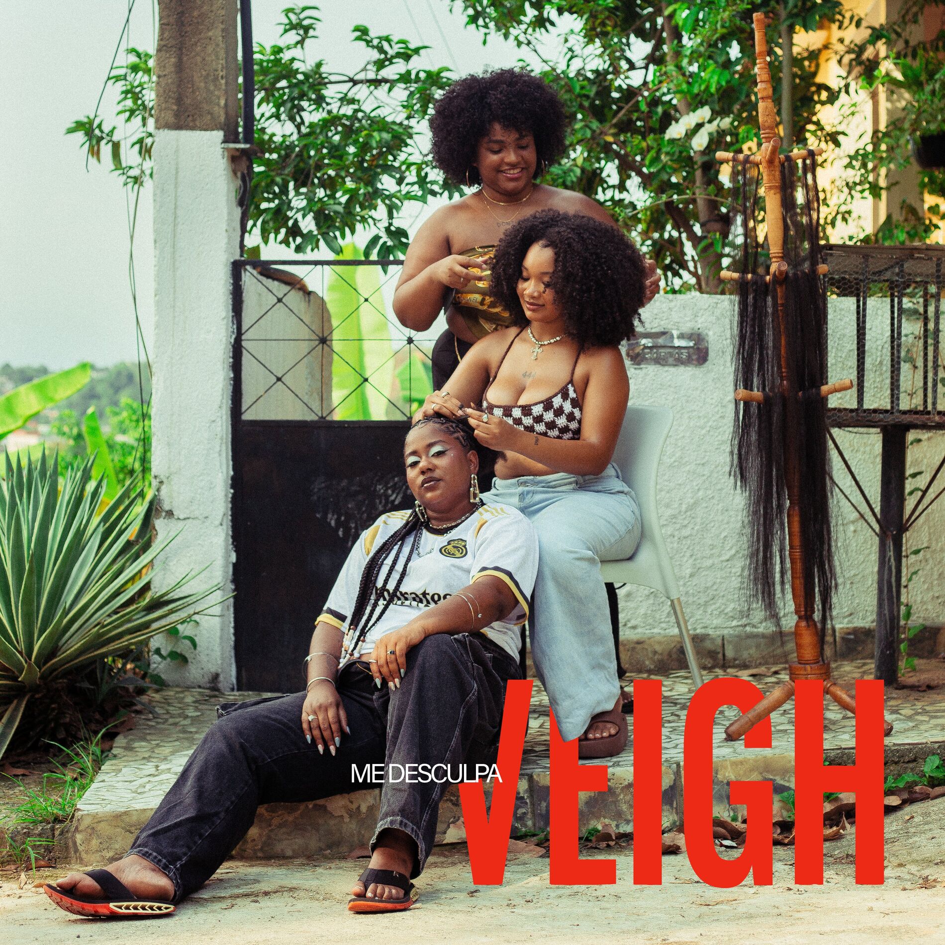Album cover of Me Desculpa Veigh